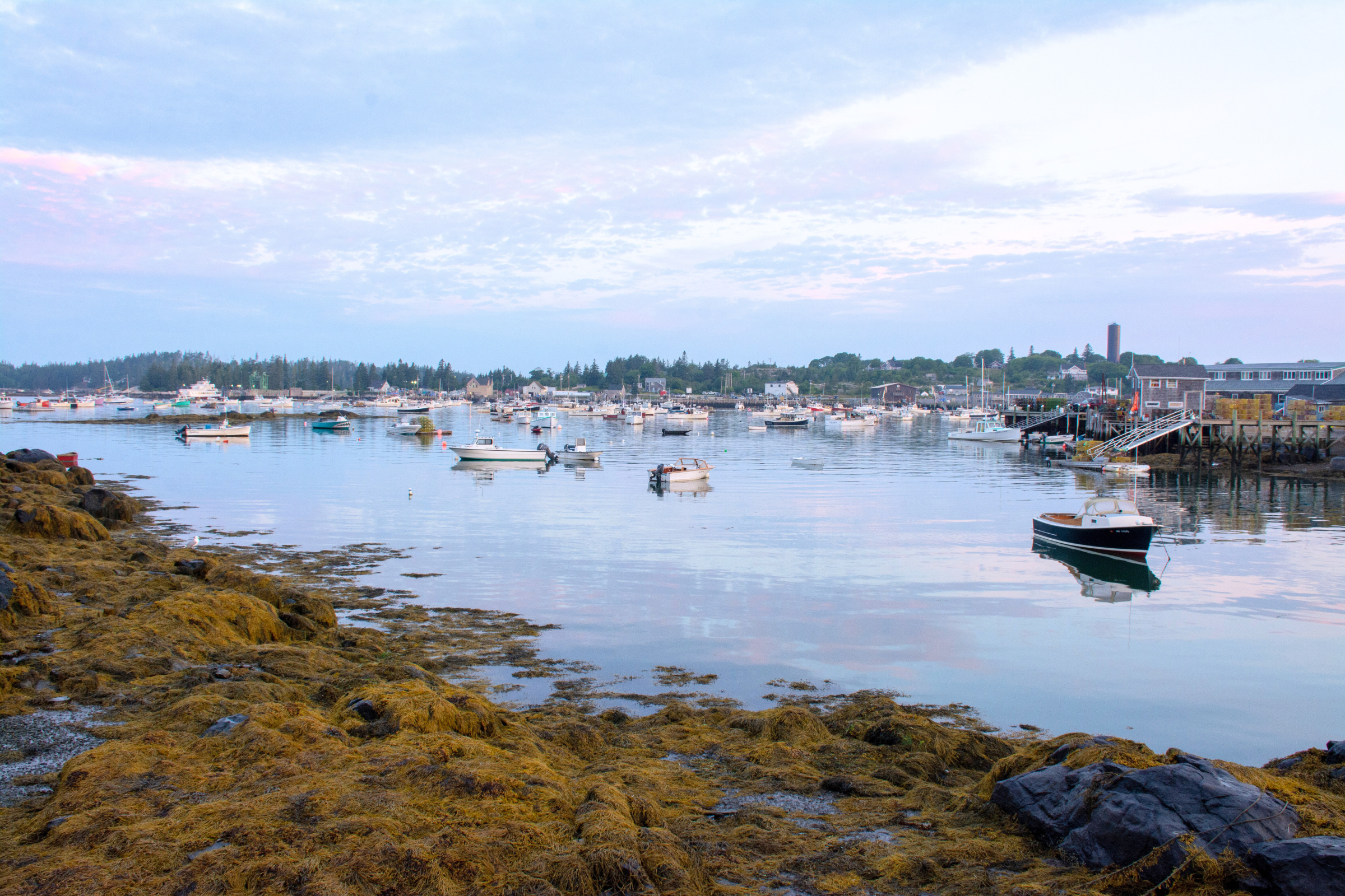 46_Vinalhaven,_Maine[1].webp
